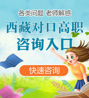 湖北各类单独招生咨询入口