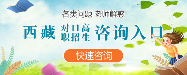 湖北各类单独招生咨询入口